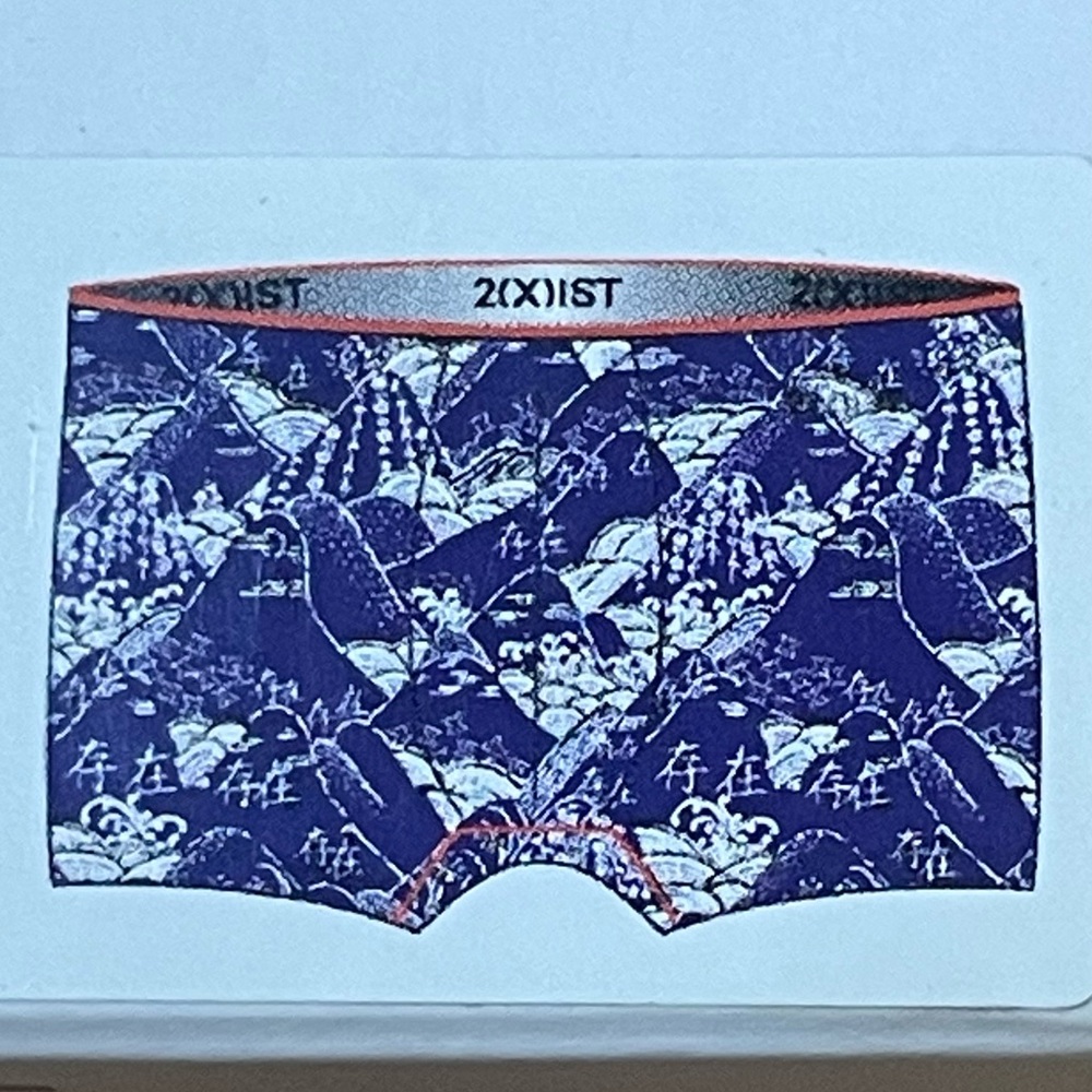 2Xist Men's Sliq Micro Ultra-Low Rise Trunk - Medium